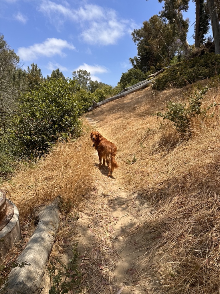Luka in nature